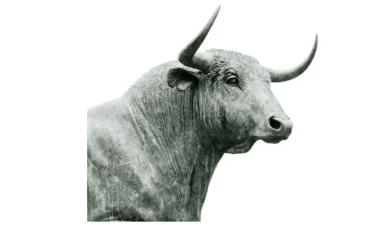 Blog revival starting soon