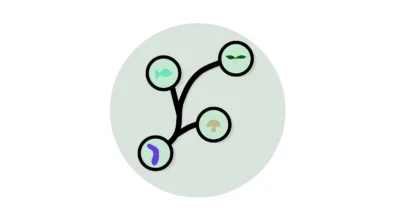 How To Maximize Profits: The Ever-Liquid Account