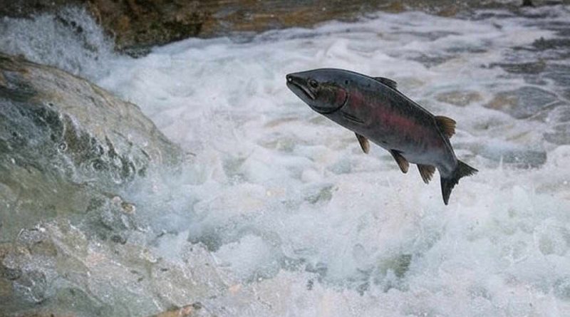 Spotting Star Stocks Early With Relative Strength